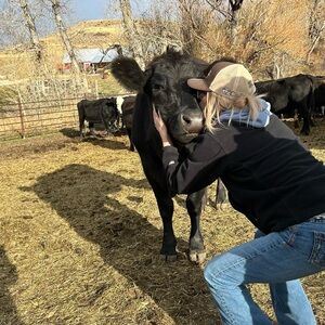 ❌ Absolutely NO Trades ❌.